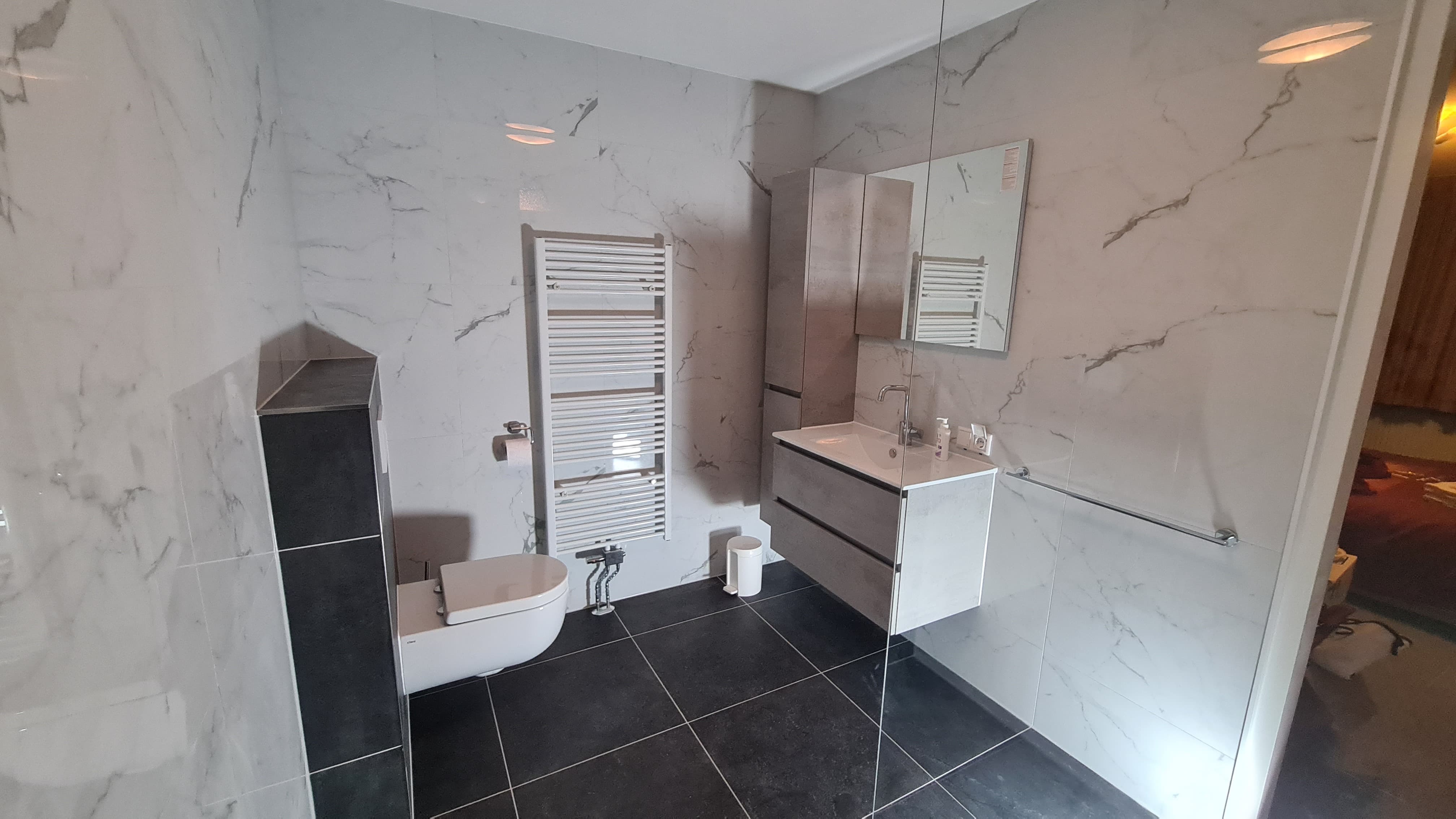 Renovatie in Erica